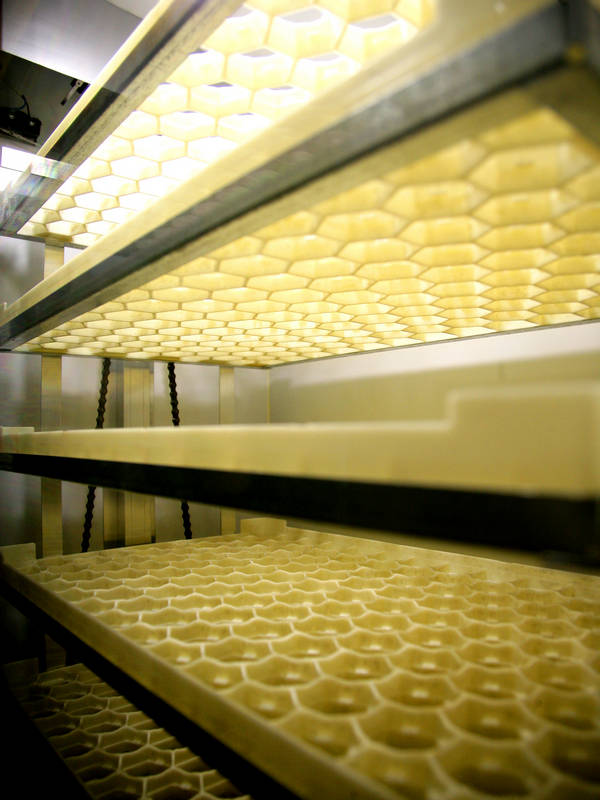 incubator-nbf-1350 (1)
