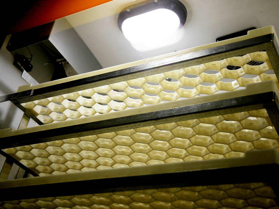 incubator-nbf-1350 (4)