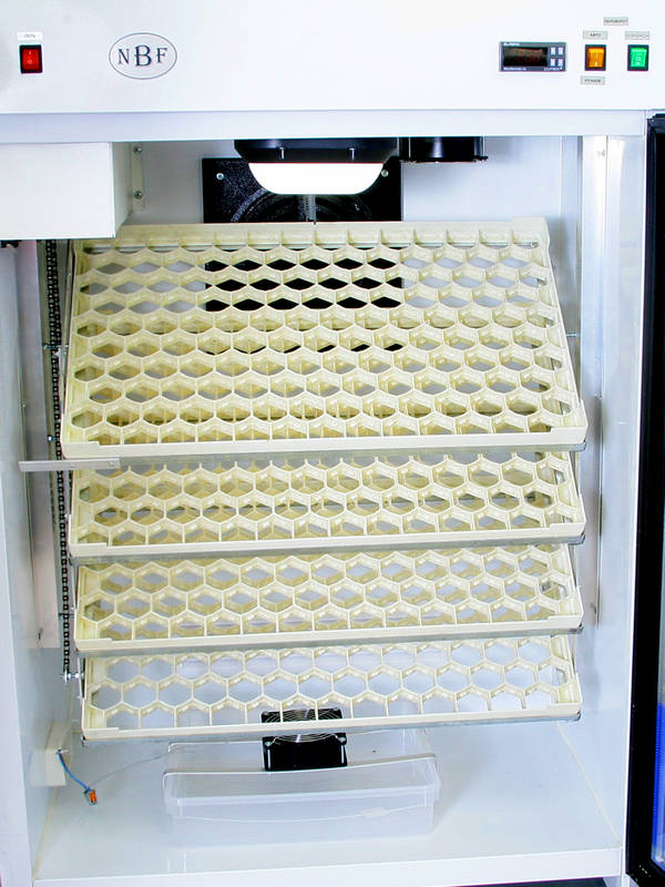 incubator-nbf-600 (2)
