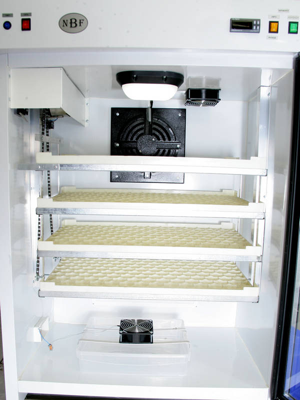 incubator-nbf-600 (3)